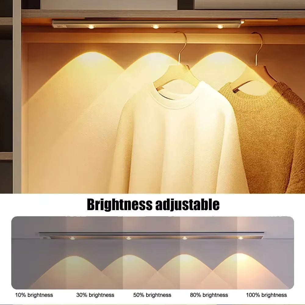 Lumilane motion sensor cabinet light