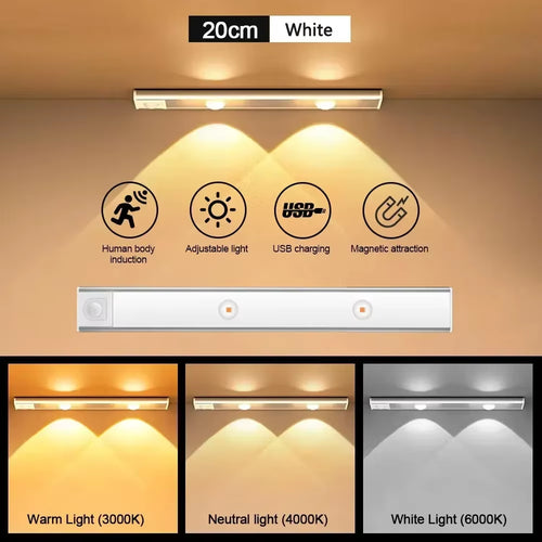 Lumilane motion sensor cabinet light