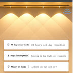 Lumilane motion sensor cabinet light