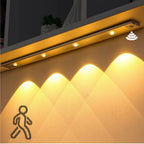 Lumilane motion sensor cabinet light