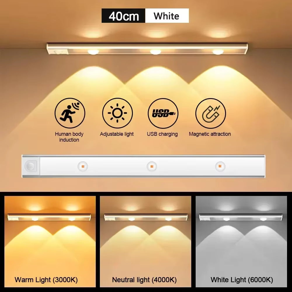 Lumilane motion sensor cabinet light